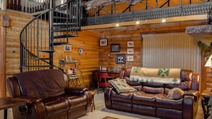 TV, fireplace, books