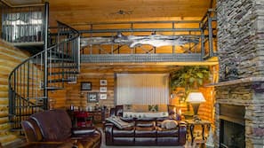 TV, fireplace, books