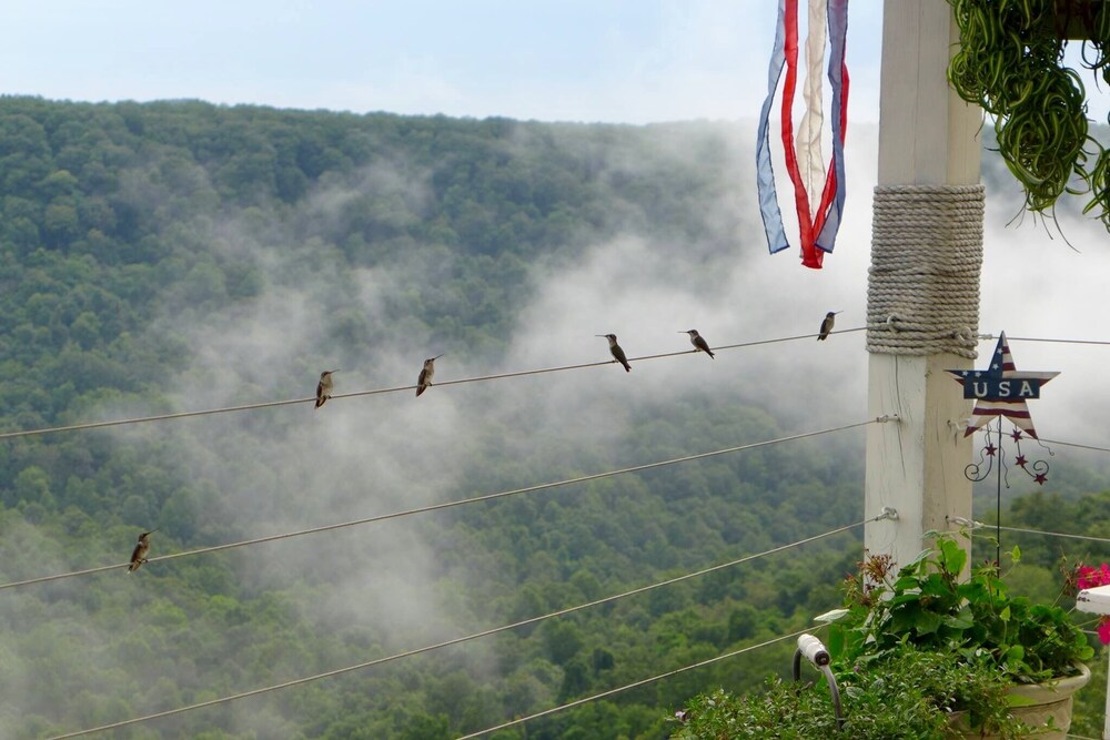 Carriage House;Bluff Views;Trails;Pet Friendly;Sewanee;Monteagle;The Caverns