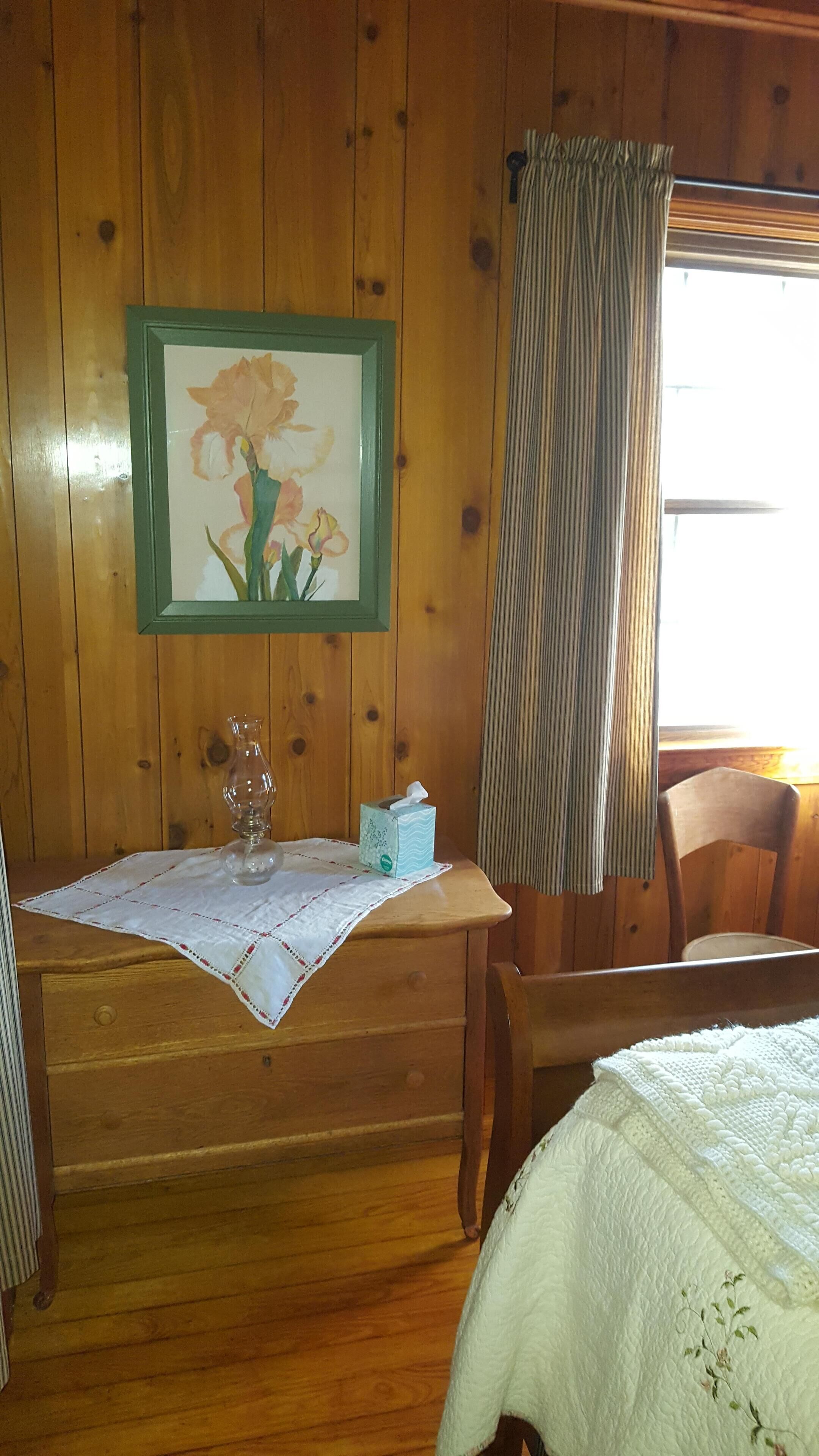 Pine Cone Cabin at Fort Valley in Luray, United States