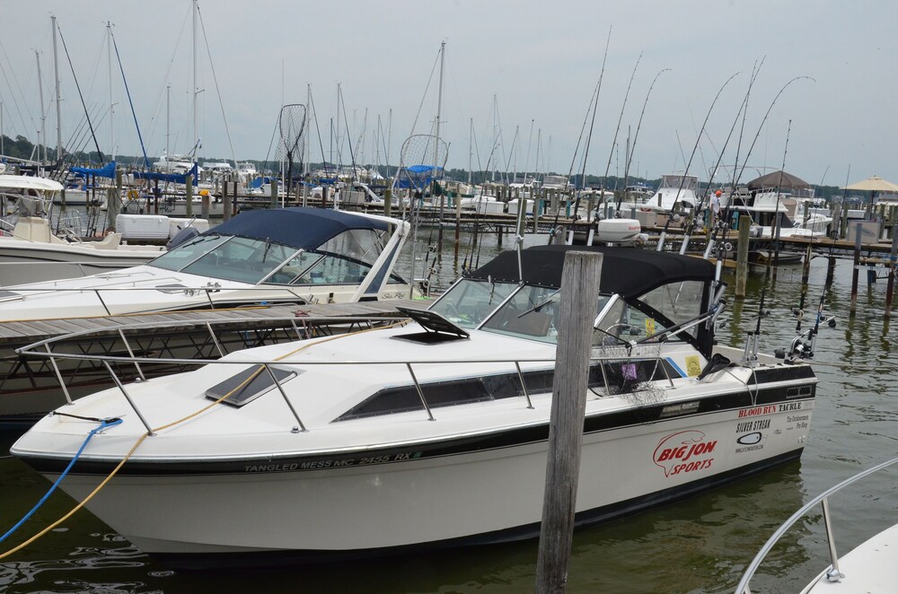 Staterooms 2N, Waterside View, heated pool, near Holland State Park Beach