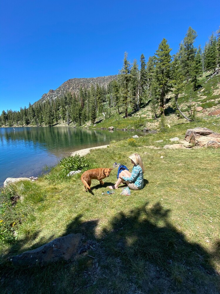 , 500 Acre  Ranch on the Foot of Mount Shasta.