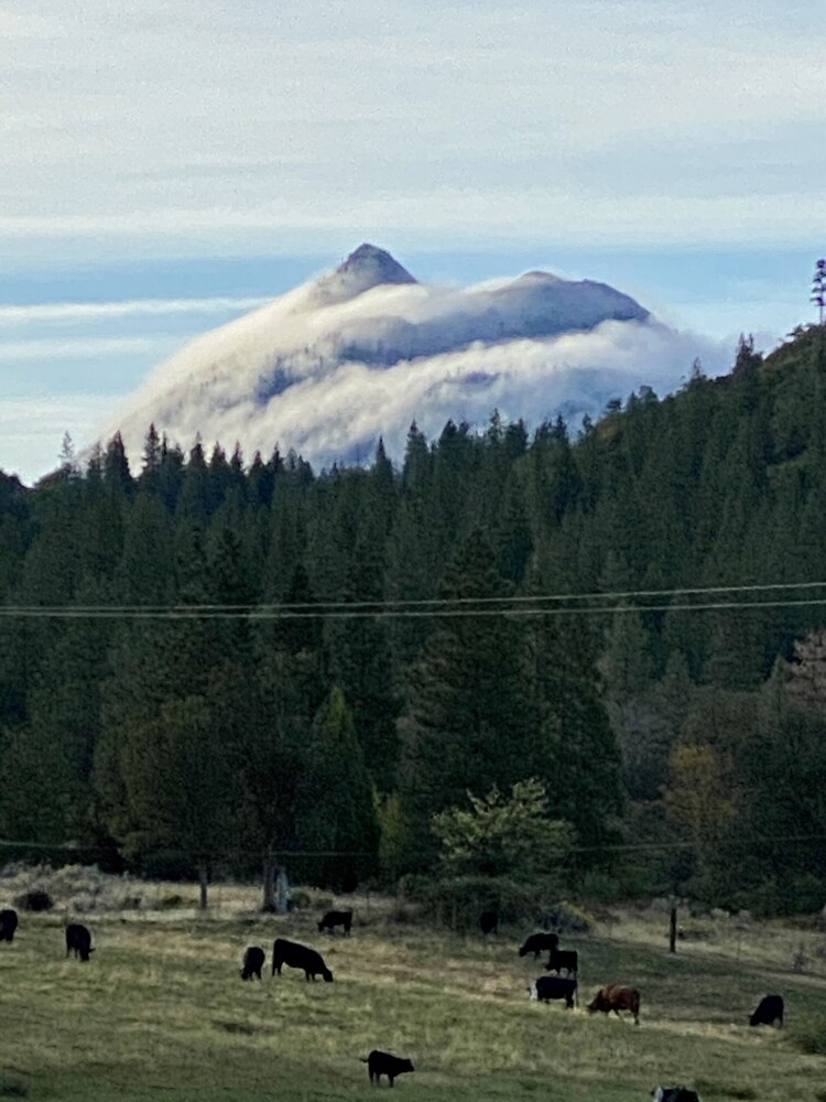 , 500 Acre  Ranch on the Foot of Mount Shasta.