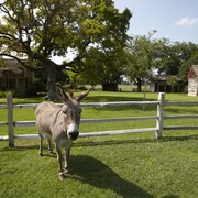 The 10 Best Hotels In Luckenbach For 2019 Expedia Settlers Crossing