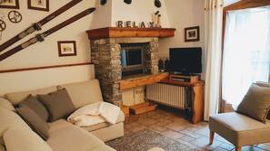 Télévision, cheminée, livres