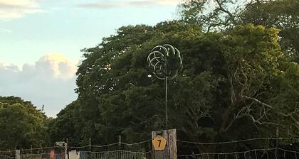 Pitahaya Glamping