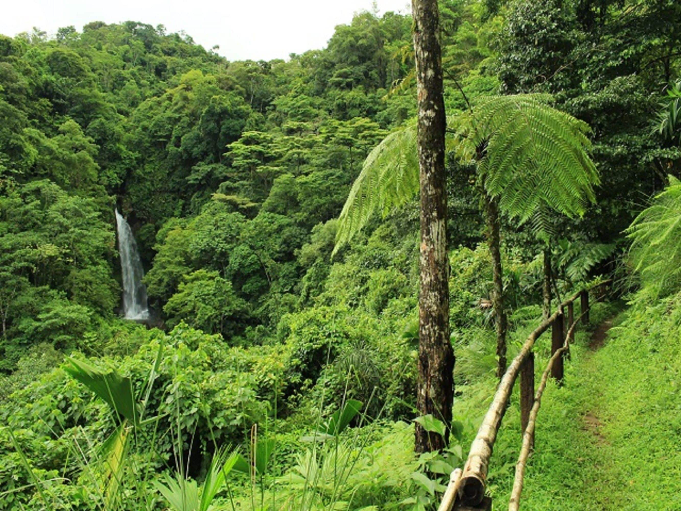 Villa Tavida Lodge in Chiguiri Arriba, Panama