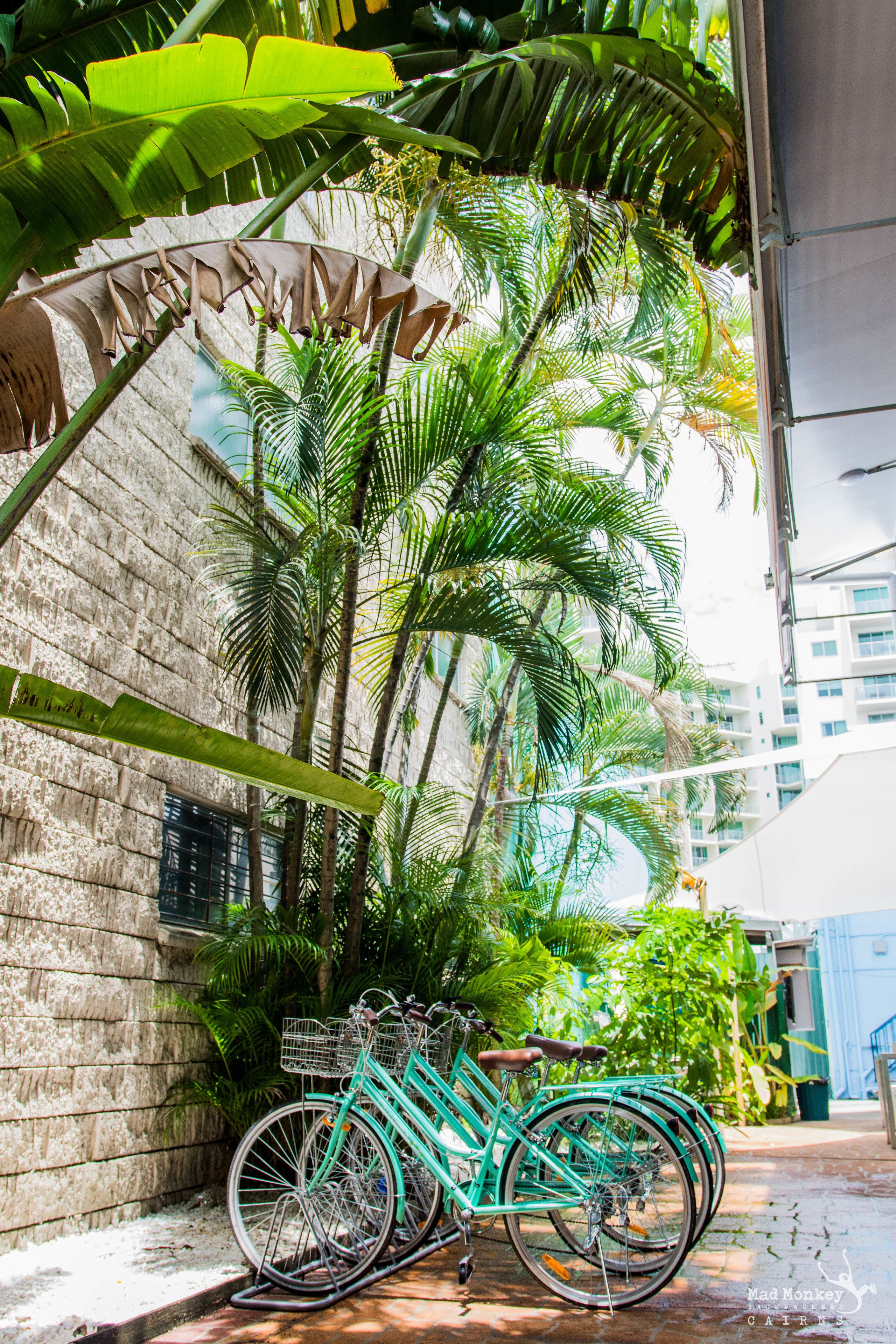 Mad Monkey Backpackers Waterfront