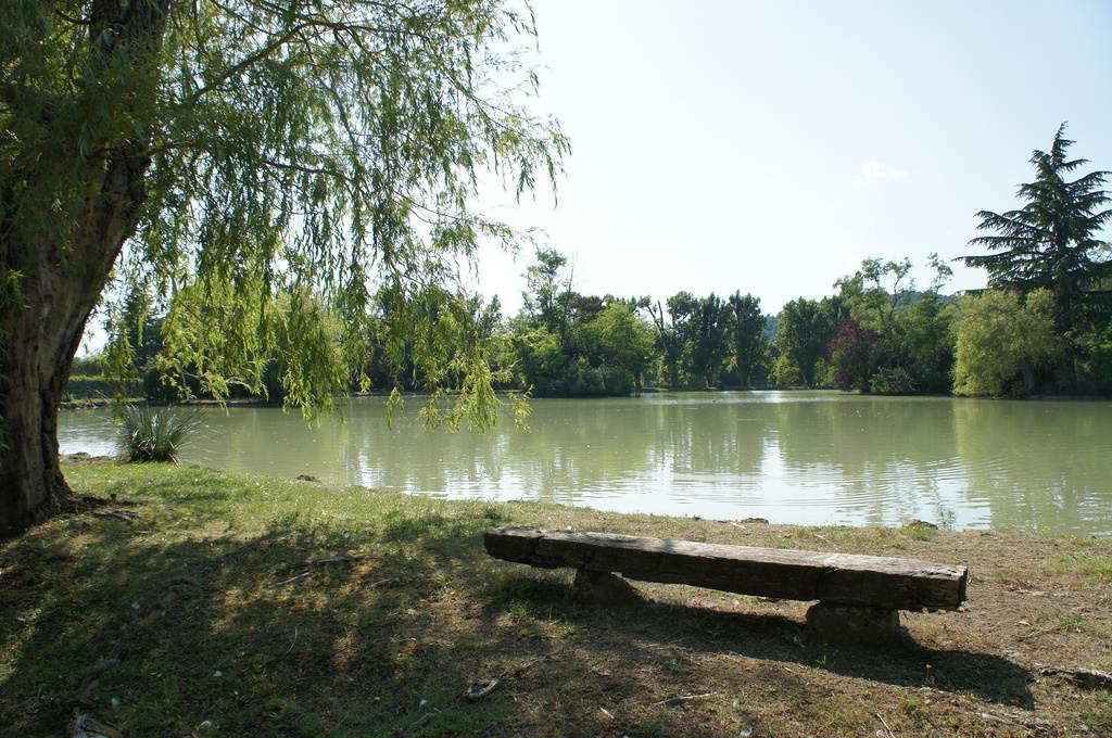 Cash Piscine Draguignan