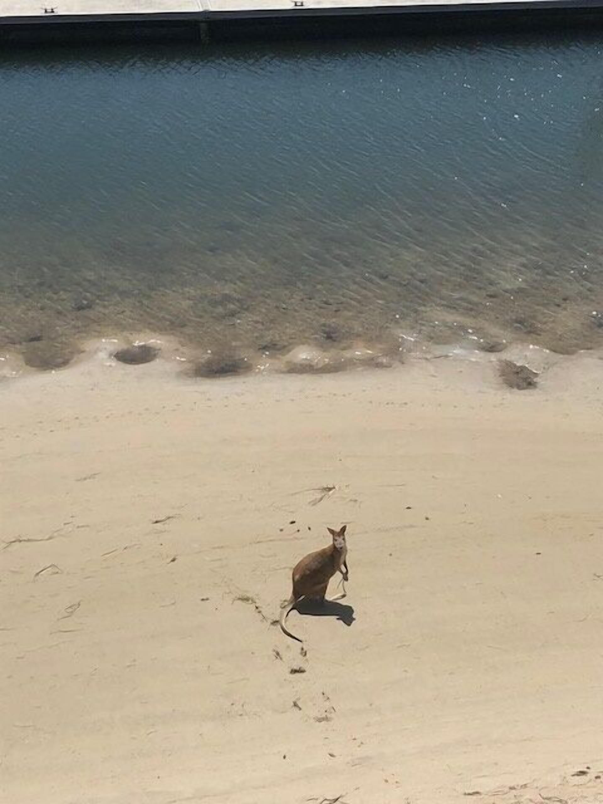 THE Time IS NOW FOR Your OWN Island Holiday Getaway