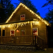 hotels in munising mi pet friendly
