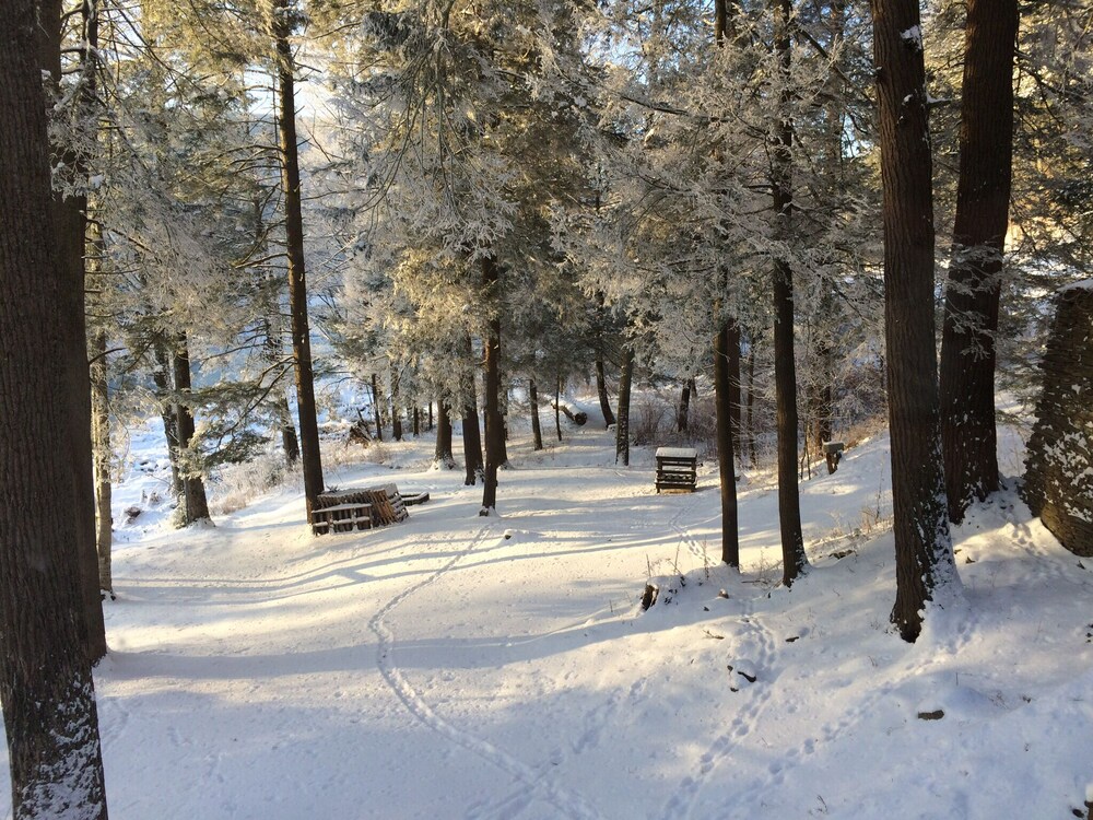 Beautiful Log Home on the Loyalsock Creek ”2018 Pa river of the year