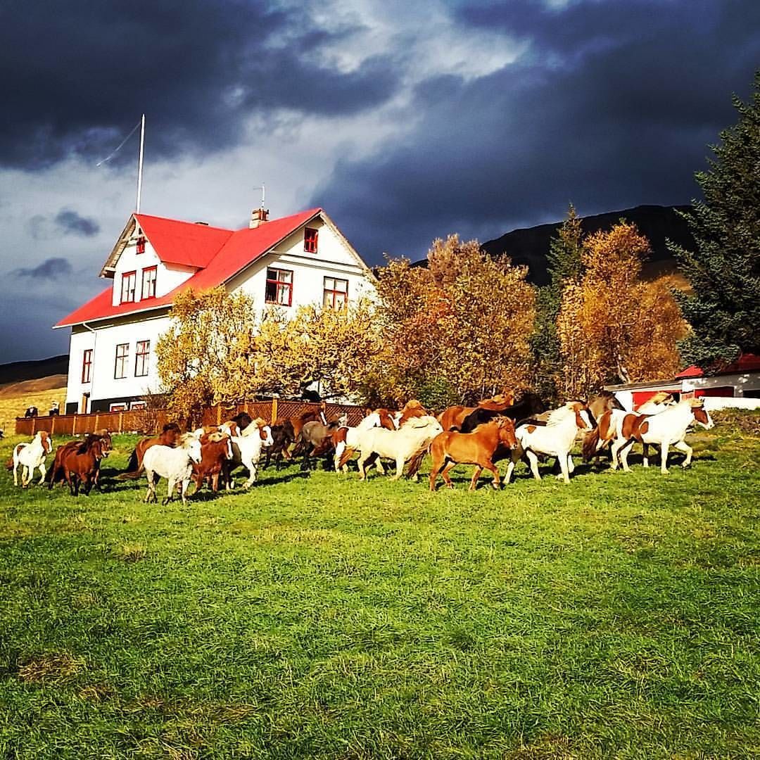Ferðaþjónustan Geitaskarði in Blonduos in Blönduós, Iceland