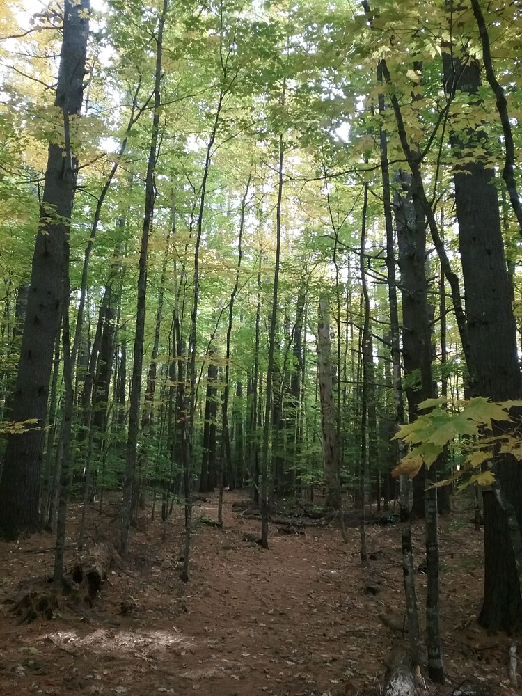 Spacious Linderhof Condo right across from Storyland! Near major ski