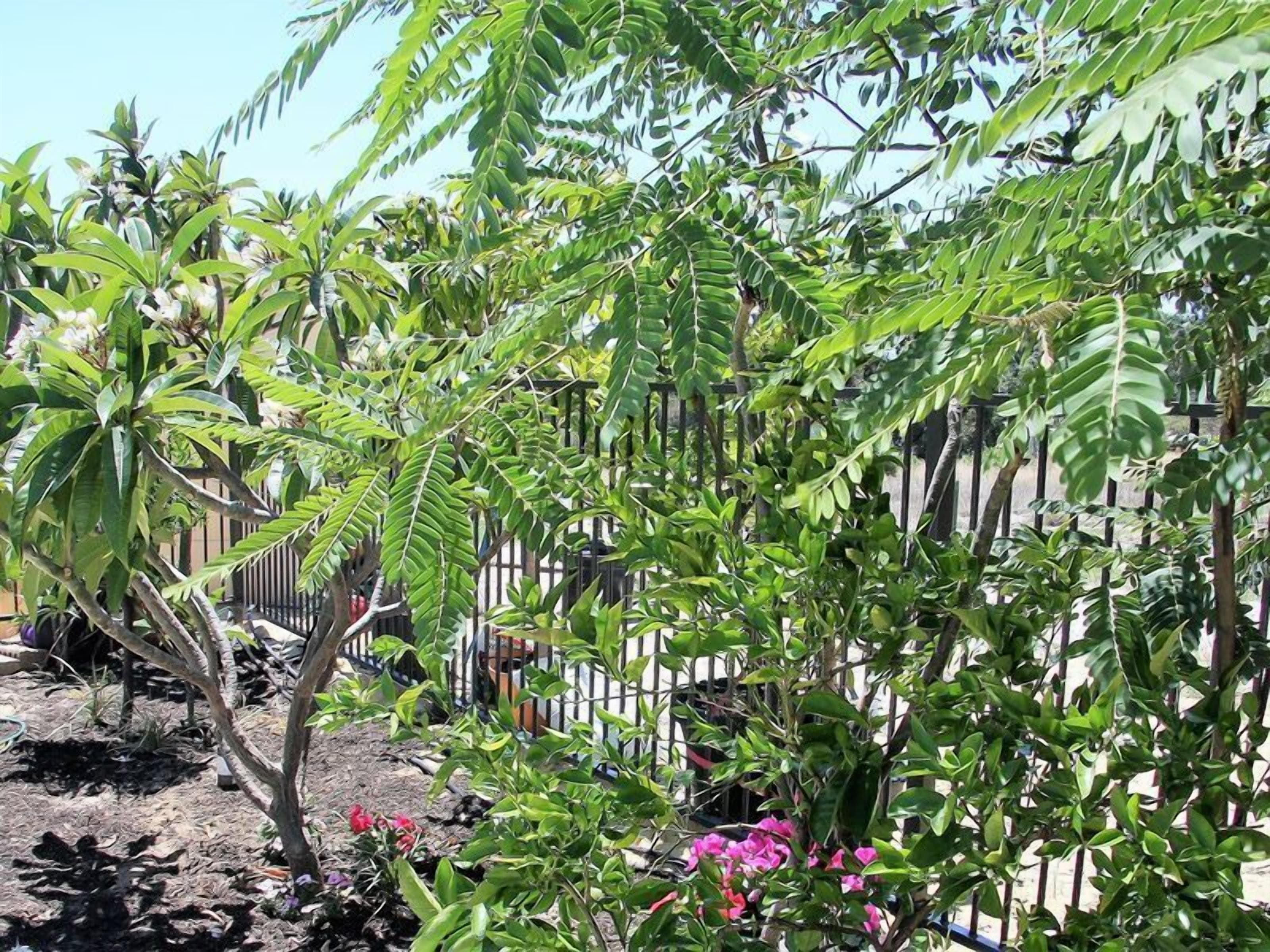 Birdsong - holiday home in Perth