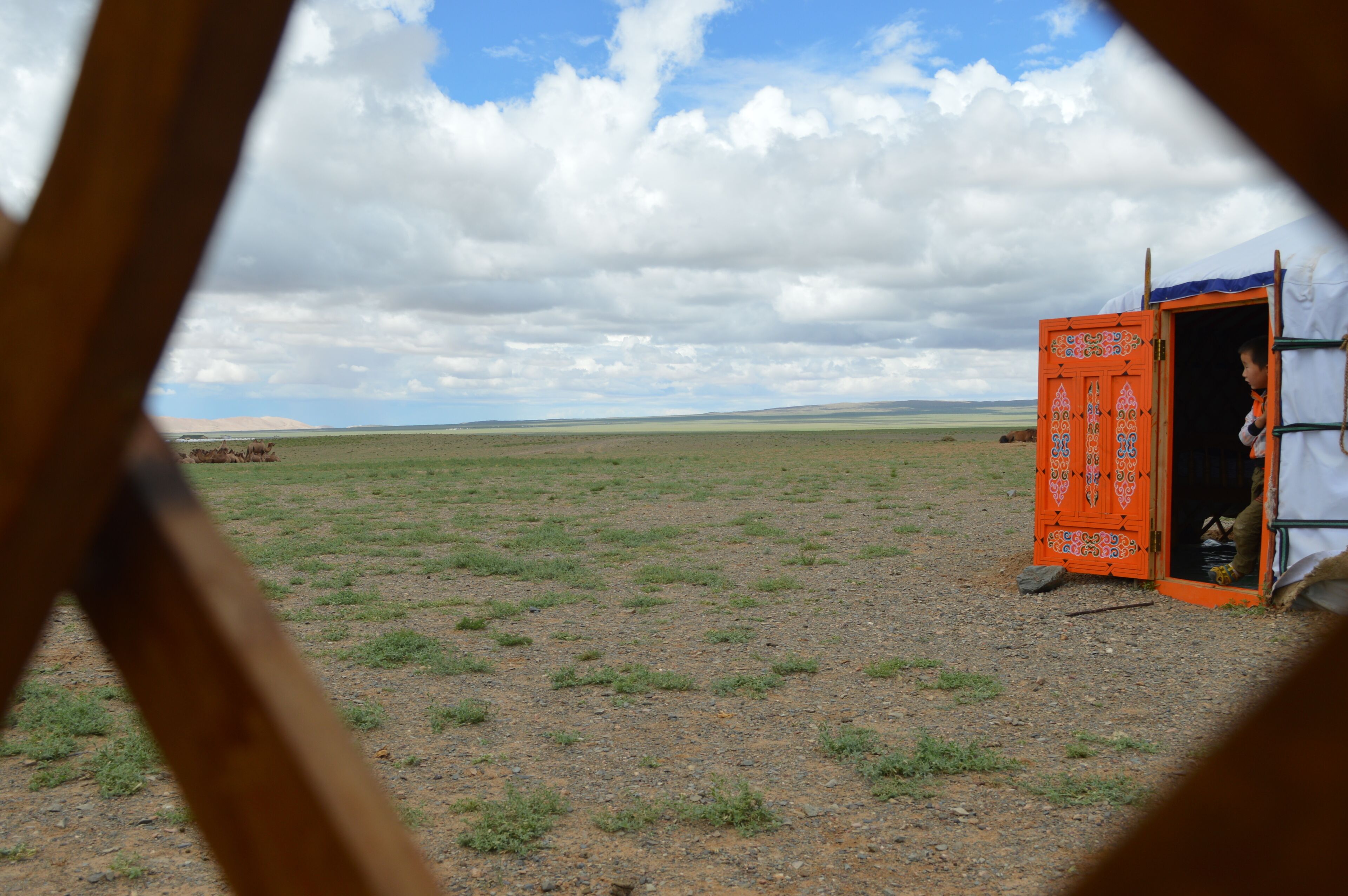 Nomad Homestay - Eco Gers in the Gobi in Dalanzadgad in Dalanzadgad, Mongolia