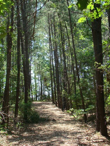 Best Cabins In Etoile For 2020 Find Cheap 42 Cabins Rentals