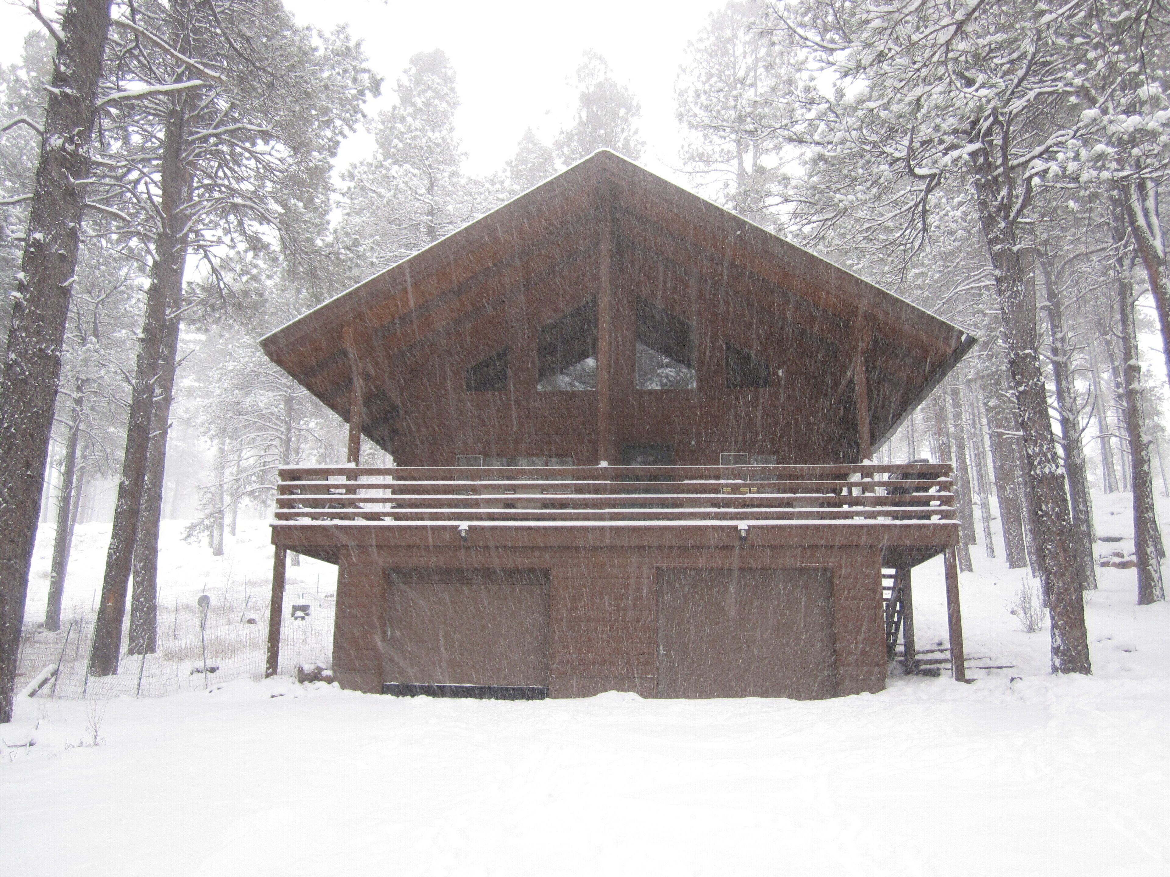 Cabin Nestled In The Tall Pines Little Elk Lodge Flagstaff