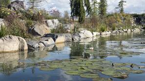 2 outdoor pools