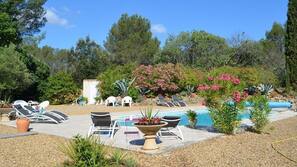 Piscine extérieure, chaises longues