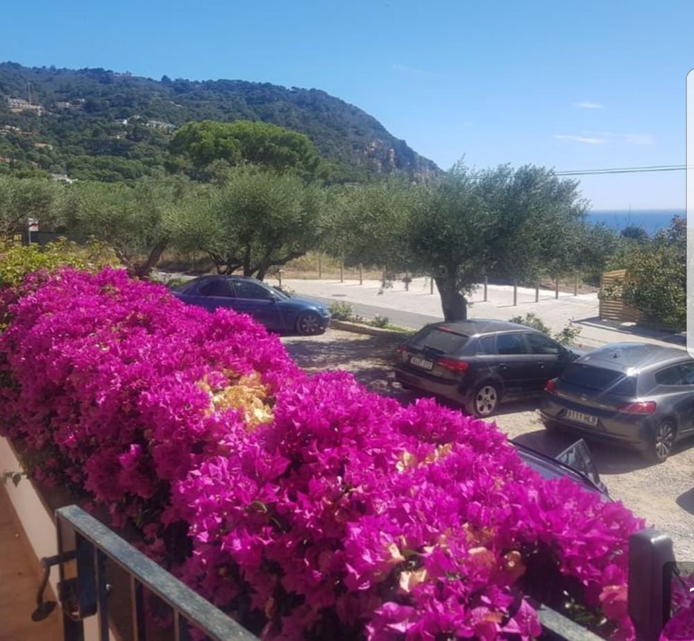 Photo - Hostal Ondina