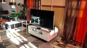 Flat-screen TV