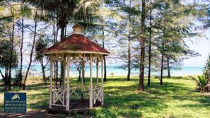 ใกล้ชายหาด
