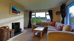 Fireplace, video game console, DVD player