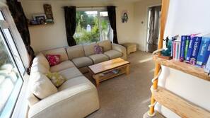 Fireplace, video game console, DVD player