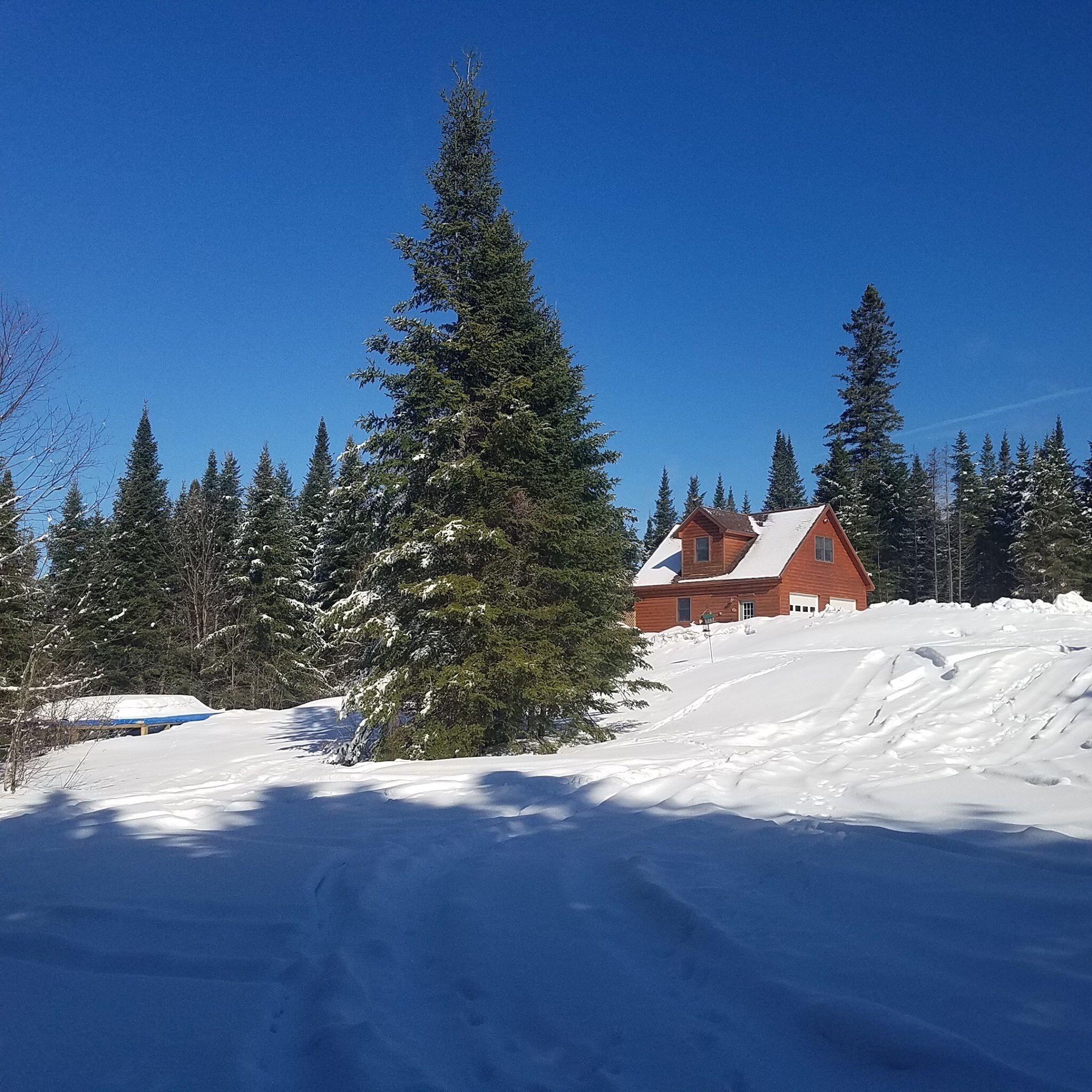 Private Peaceful Setting Sleeps 2-3 in Pittsburg, United States