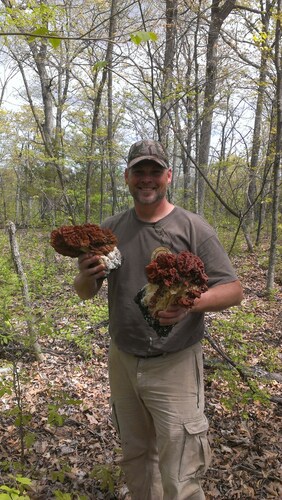 Super Clean Hideaway Cabin On Truman Lake Warsaw Clinton In