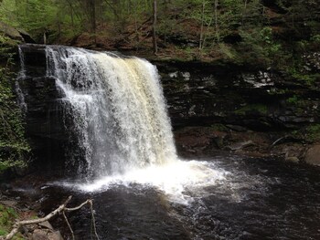 Cabin In The Woods Near Ricketts Glen With Modern Amenities