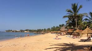 Plage, chaises longues