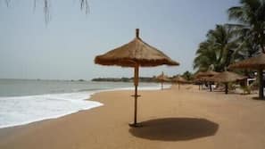 Plage, chaises longues