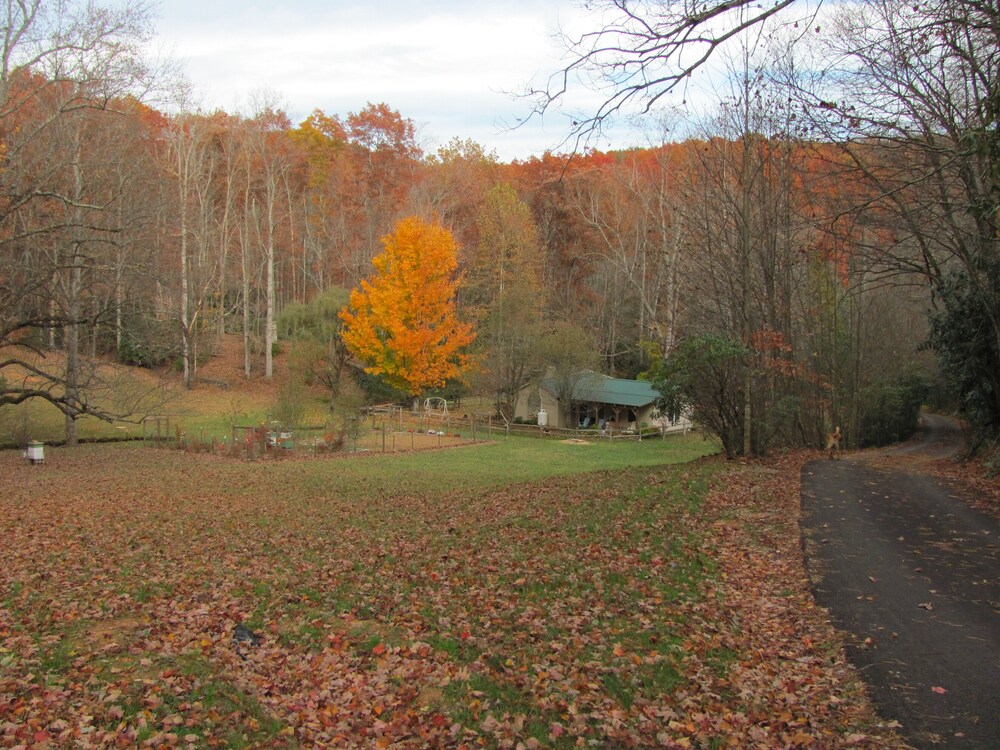 Secluded One Bedroom Cottage In Scenic Patrick County, VA in Stuart, United States