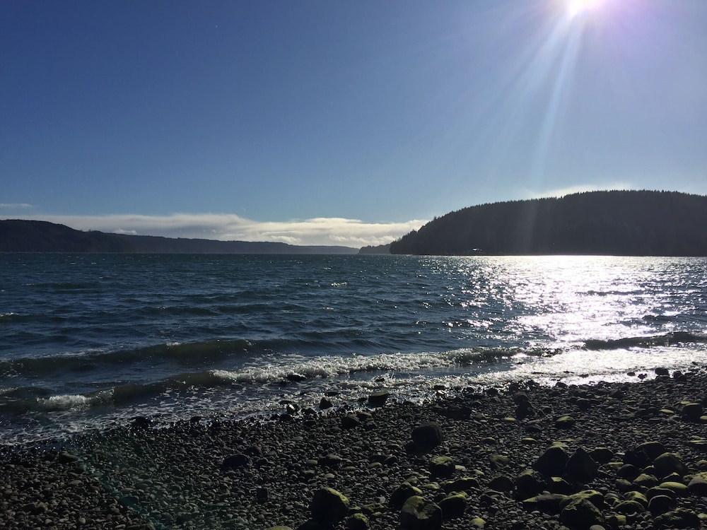Hamma Hamma Hideout Oysterview House in Olympia, United States