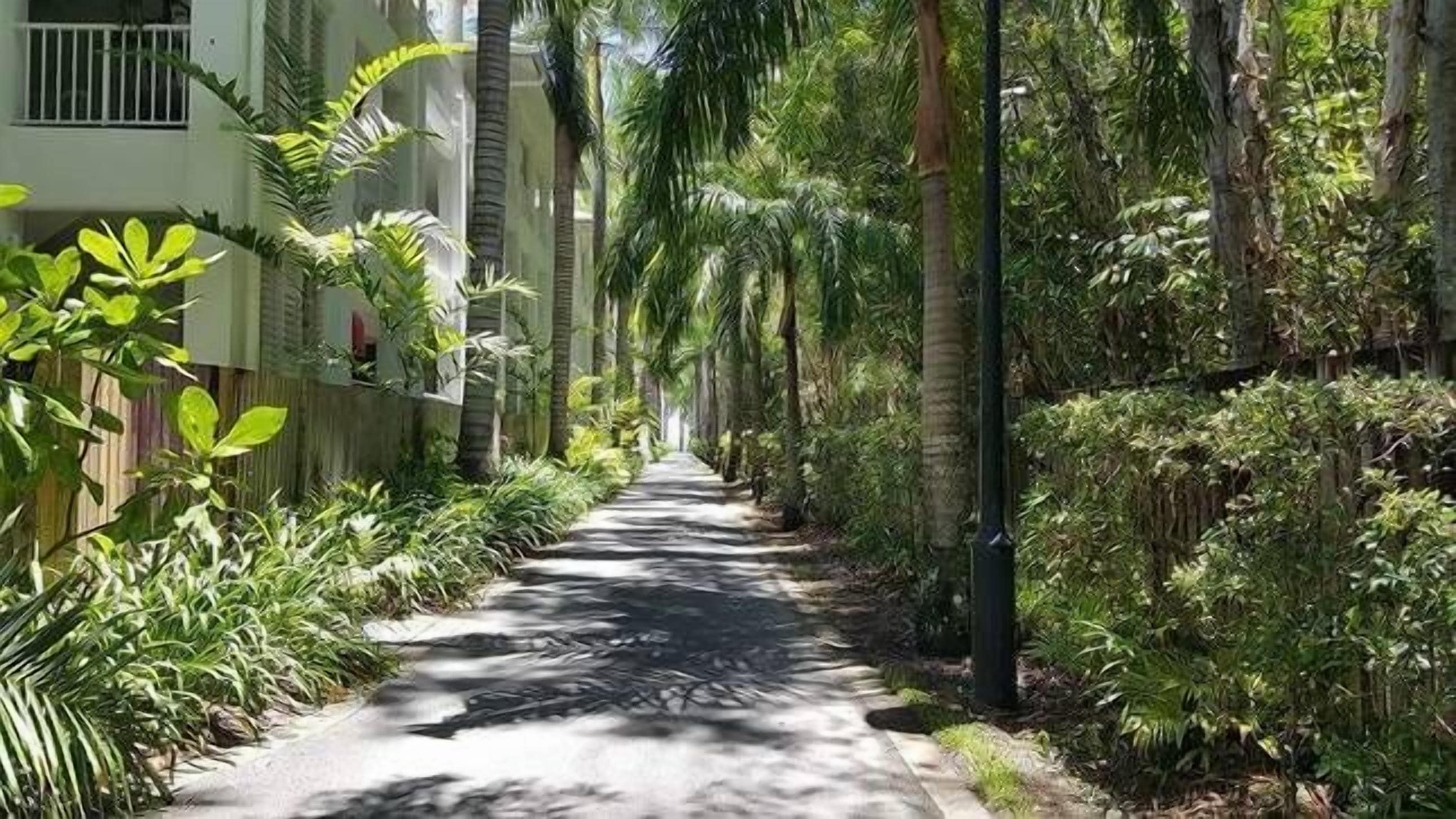 The Escape -1 @ Palm Cove