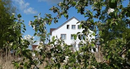 Das Haus am Teich