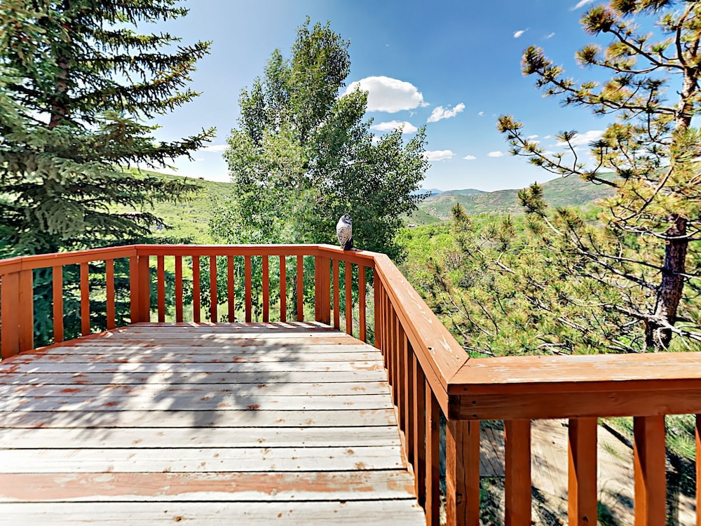 1634 Cedarbark Lane Cabin 5 Bedrooms 3 Bathrooms Cabin In Park