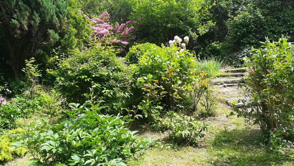 Studio In A Sea Facing Residence With Garden View 2019 Room