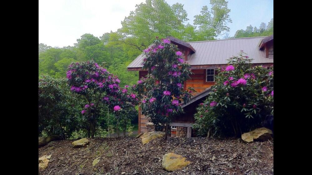 Only 299 Per Night May Sale North Carolina Cabin Private Rustic