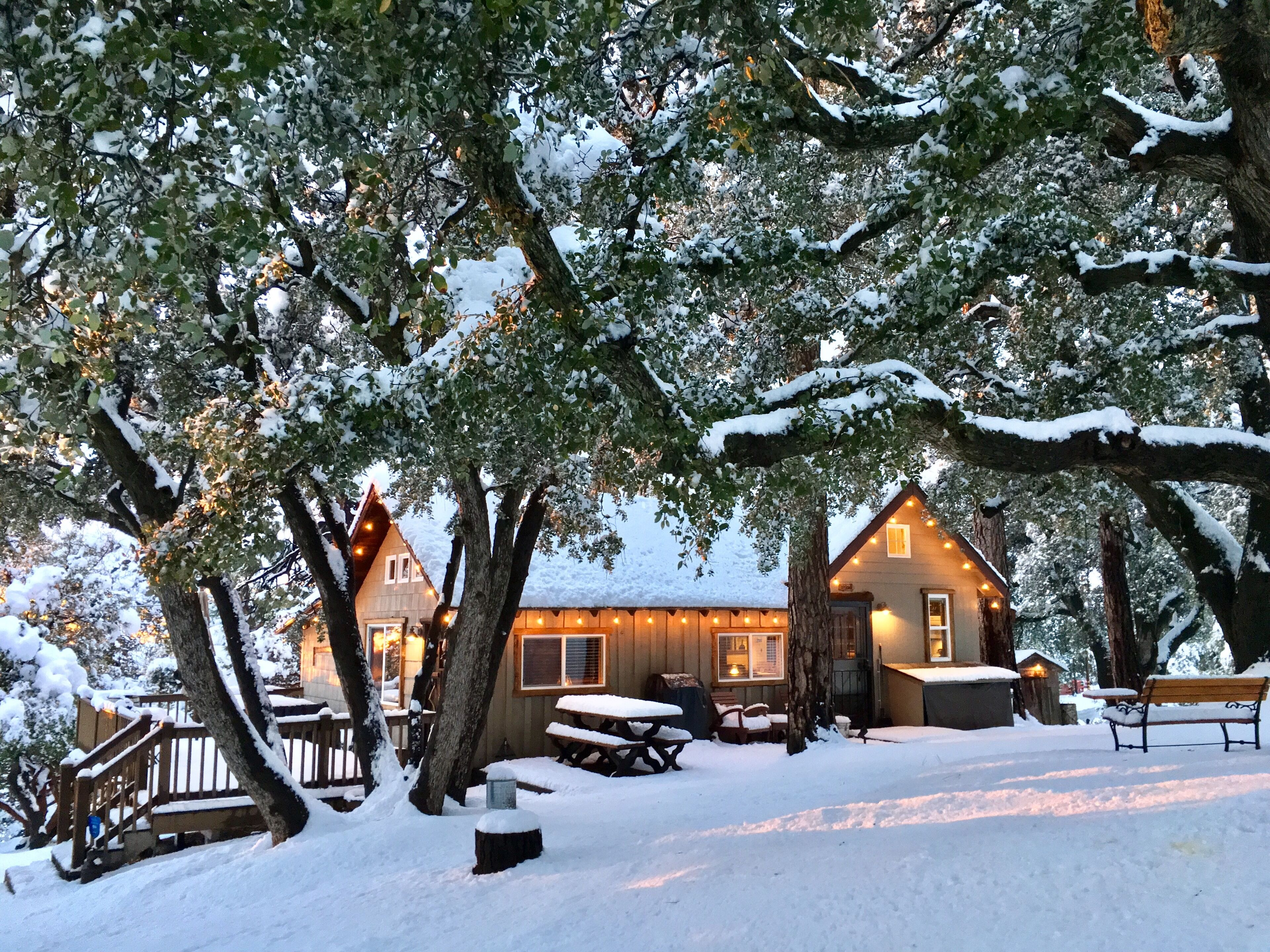 Cozy Oaks Cabin Peaceful Mountain Getaway Charming Romantic
