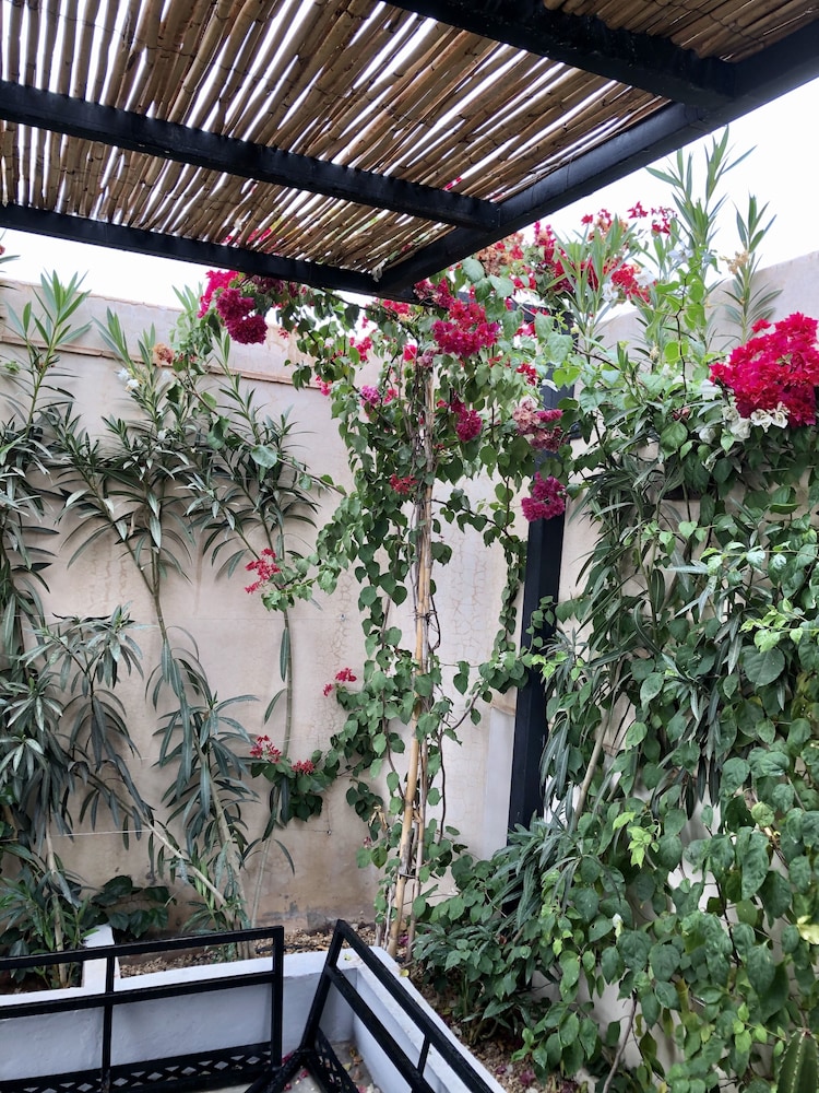 Foto - Riad Bellamane Marrakech