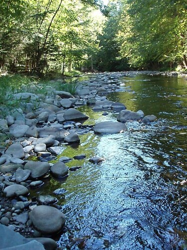 Streamside Log Home Retreat - Family and Well Mannered Pet Friendly in Cresco, United States