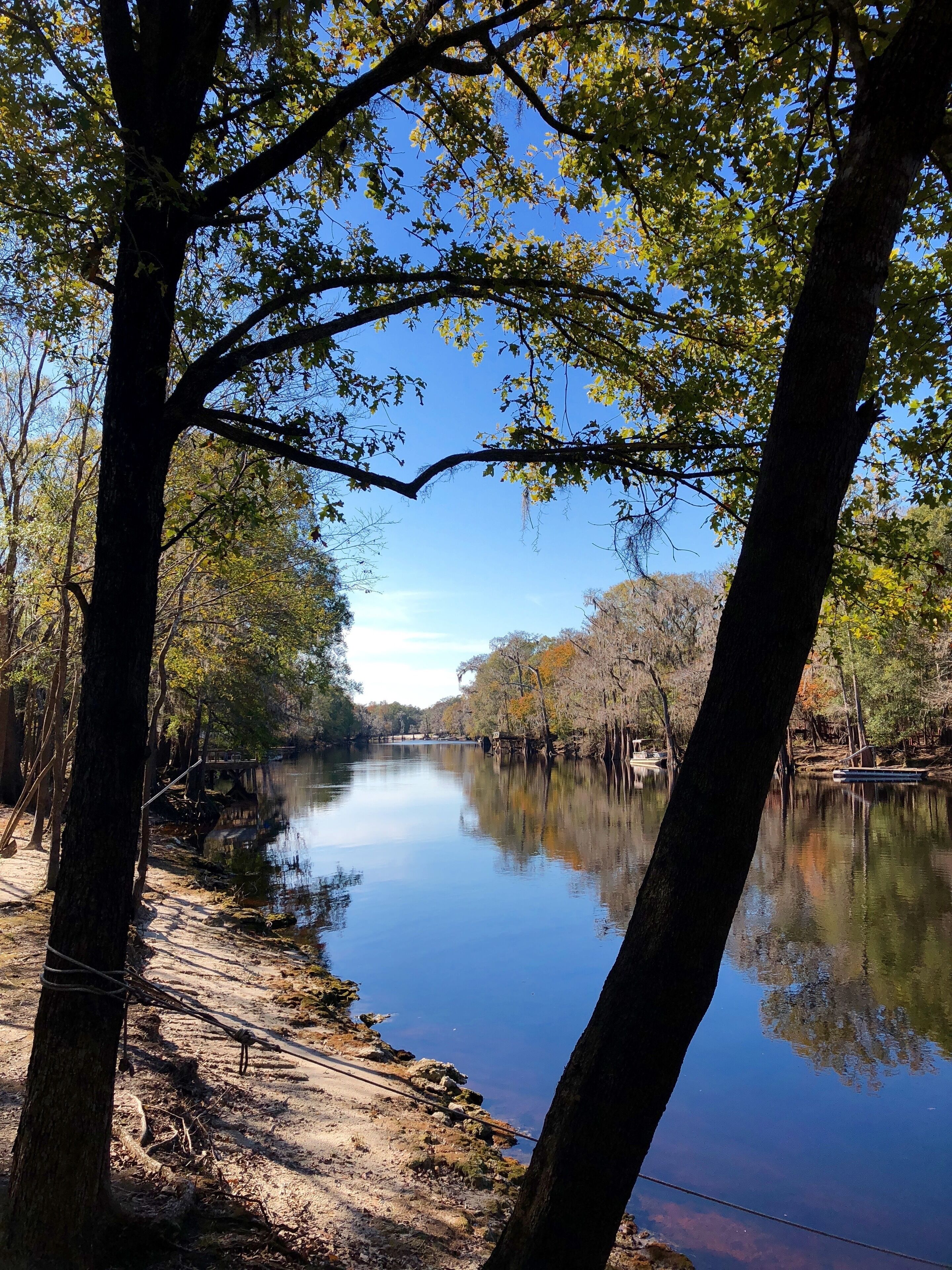 Ichetucknee Springs/ginnie Springs on the Santa Fe River at the Hideaway Cottage in Lake City, United States