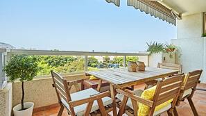 Terras