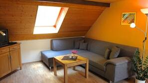 Fernseher