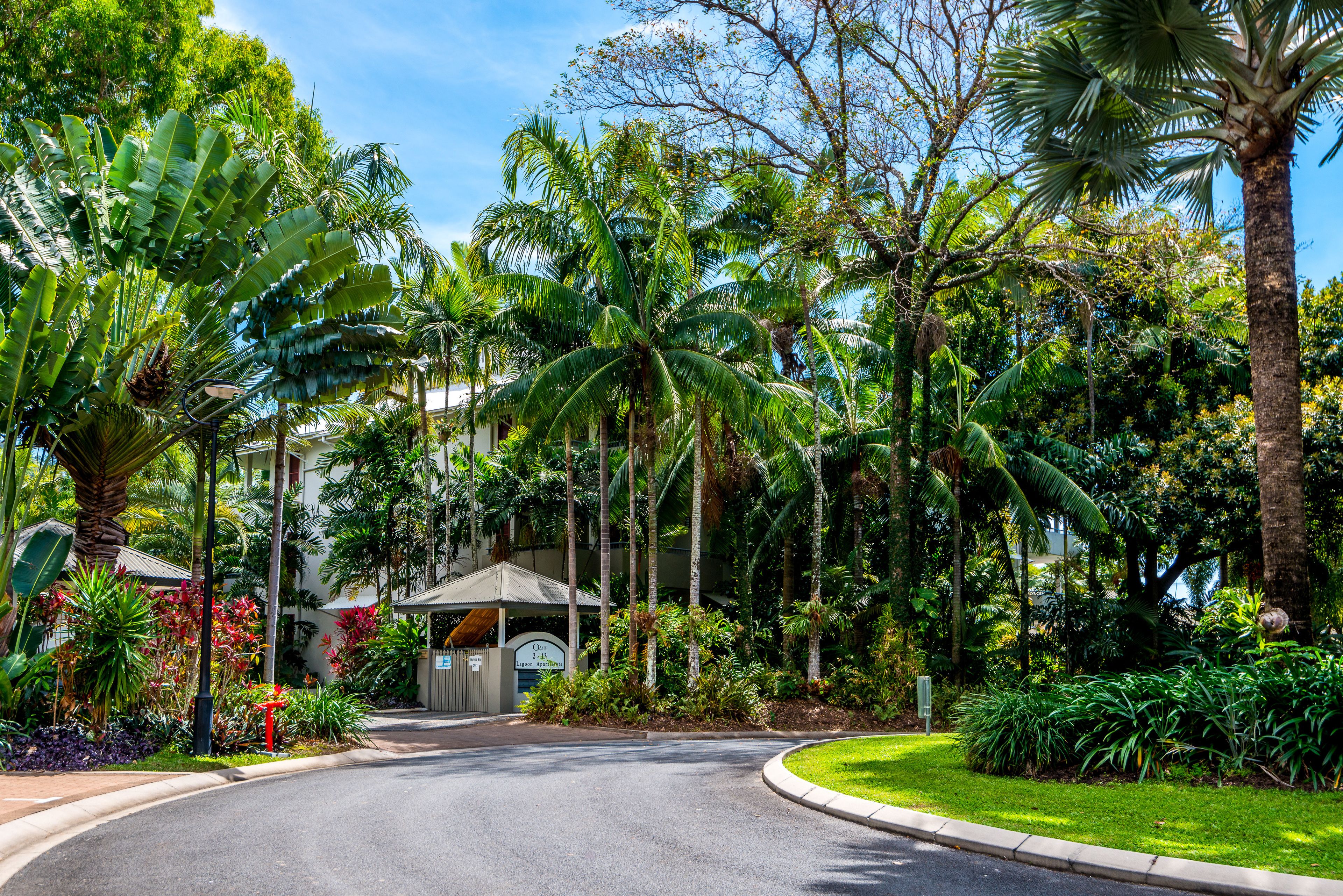 Oasis 8 Paradise at Palm Cove