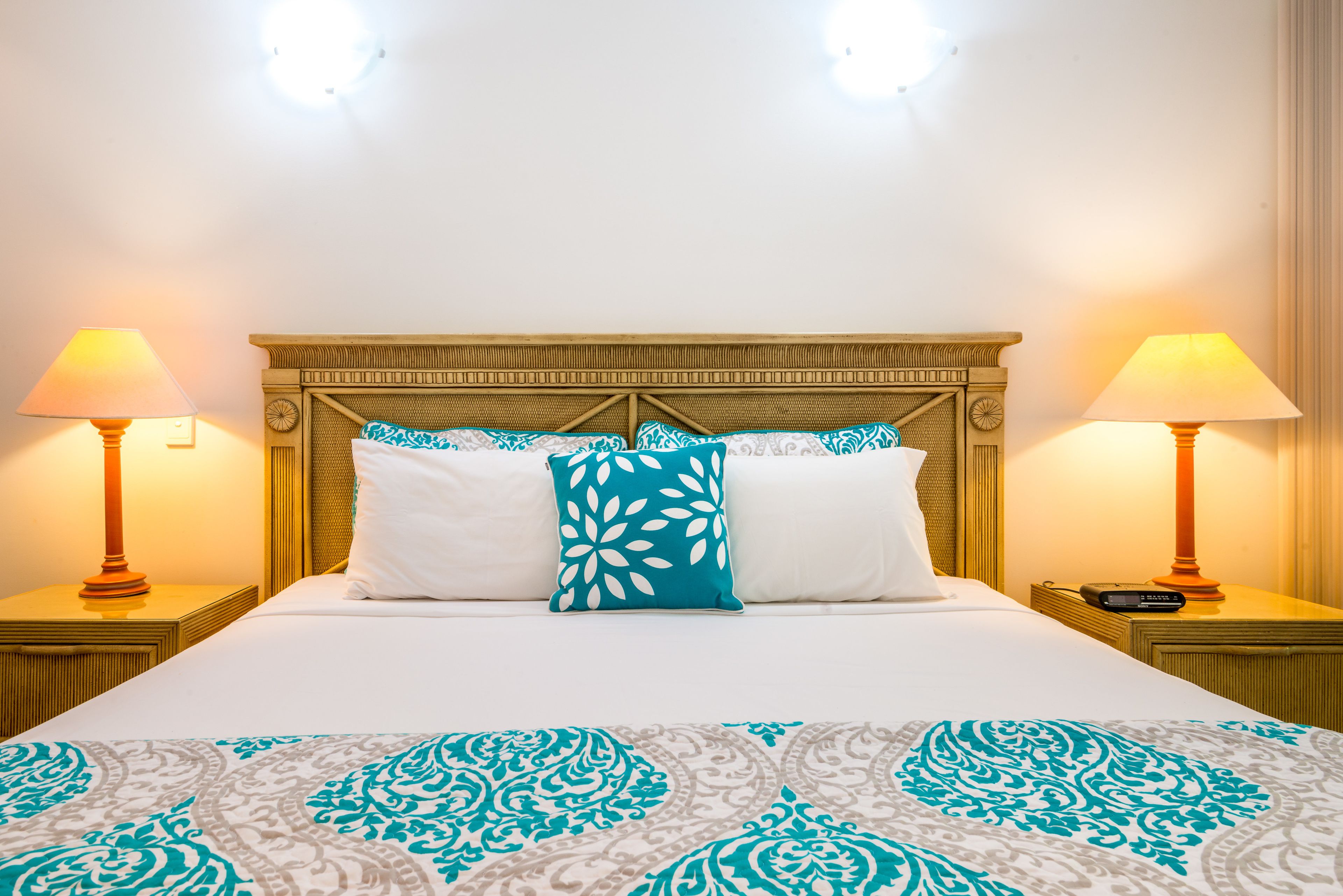 Oasis 8 Paradise at Palm Cove