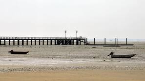 Plage à proximité